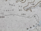 桧尾峠