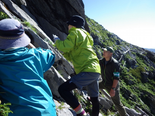 高山植物を愛でる.jpg